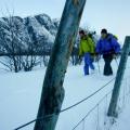 Norway_Lyngen_Ice_hike_ALeichtfried_BPurner_02