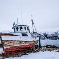 EHolzknecht-140223-Norwegen_Albert_Leichtfried_-_Benedikt_Purner-9071