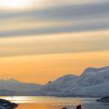 EHolzknecht-140226-Norwegen_Albert_Leichtfried_-_Benedikt_Purner-9994