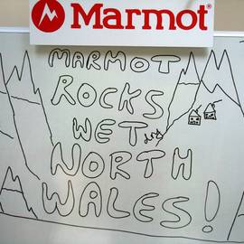 Marmot rocks wet/dry North Wales