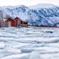 EHolzknecht-140223-Norwegen_Albert_Leichtfried_-_Benedikt_Purner-8900