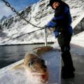 Norway_Lyngen_Ice_fishing_ArcticTravel_20